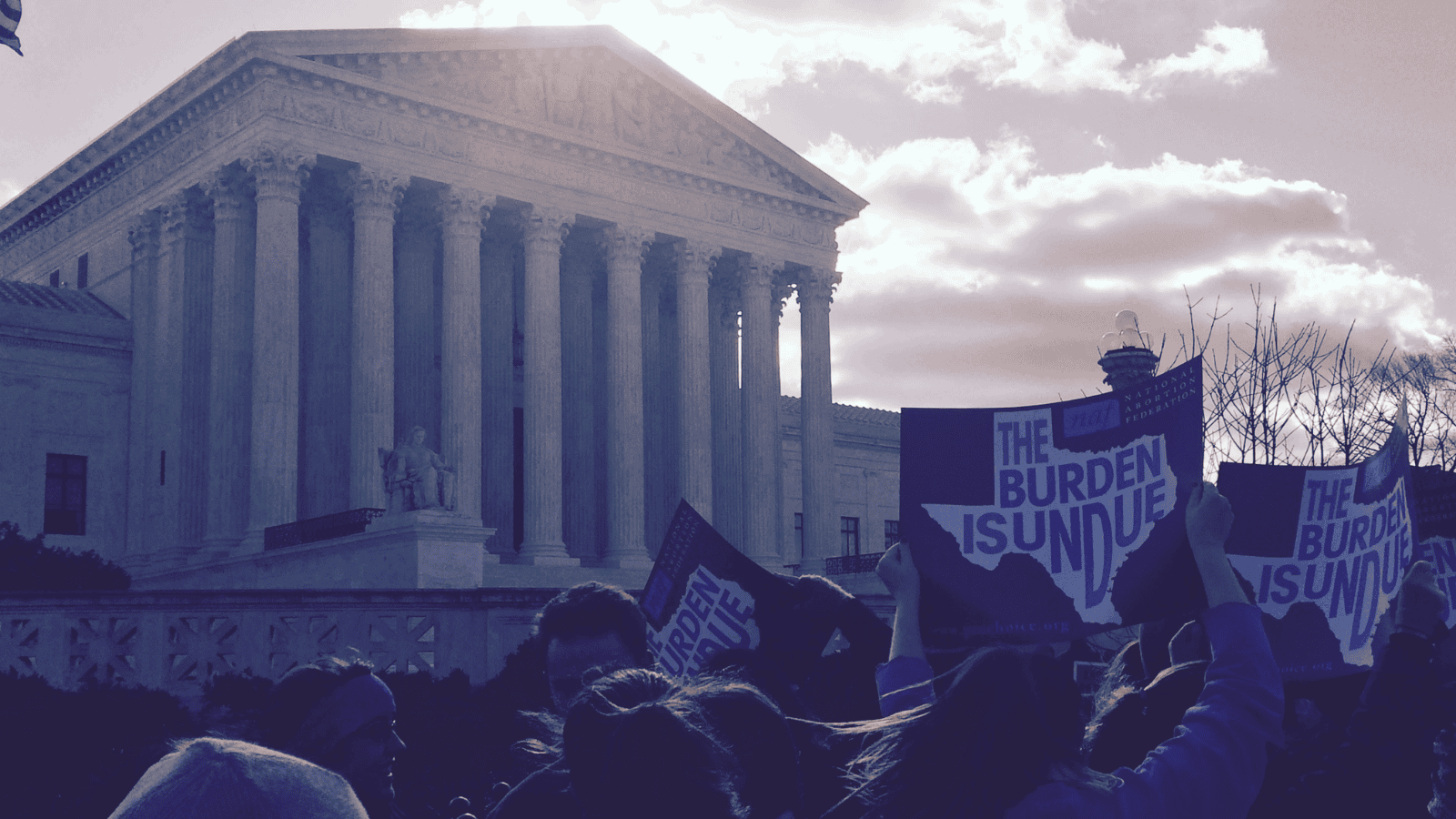 crowd of protestors outside U.S Supreme Court during 2016 oral arguments in WWH v Hellerstadt