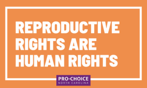 Repro Rights Human Rights 22