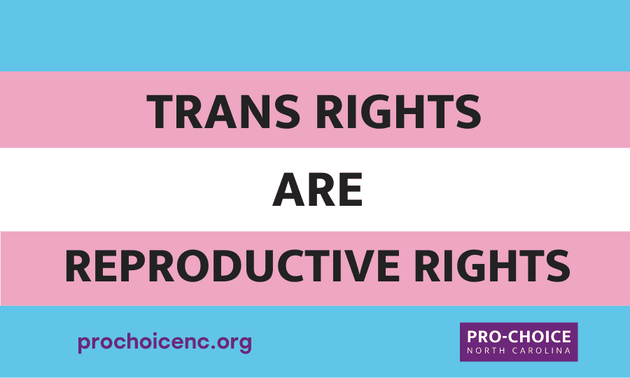 Trans Rights 22